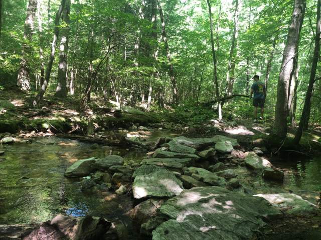 Off the Beaten Path: Explore Our Lesser-Known Trails & Parks