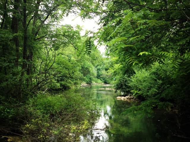 LeTort Spring Run Nature Trail