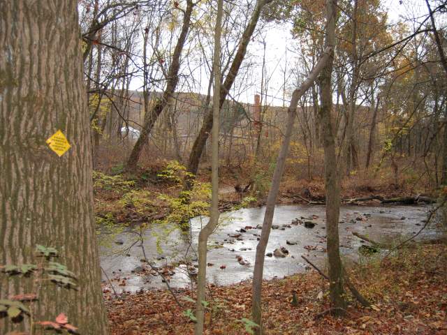 River and Trees in the Mount Holly Marsh Preserve in the Cumberland Valley, PA