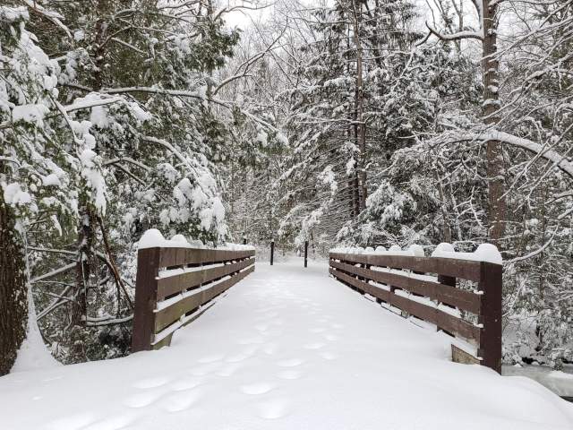 Pine Grove Furnace Winter