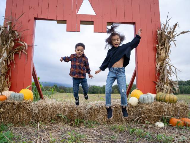 Warehimes Pumpkin Patch