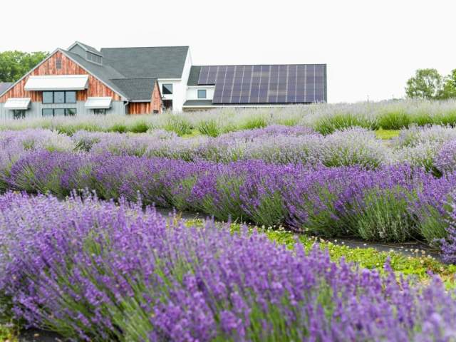 Cumberland Valley's Most Instagram-Worthy Locations