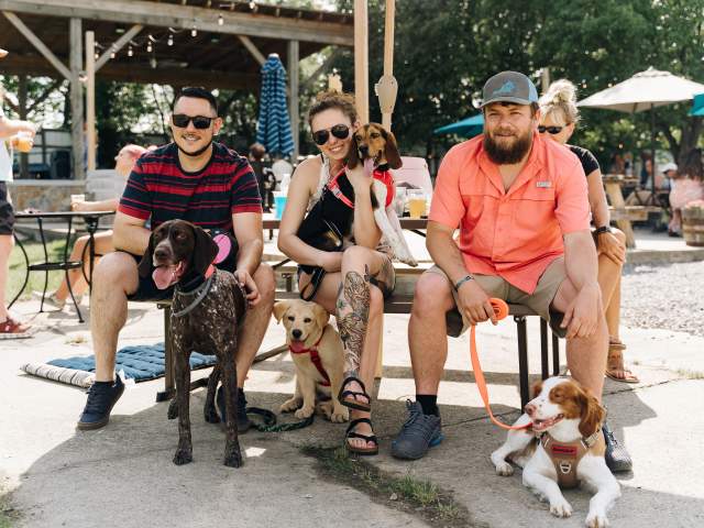 Three people with dogs and beer