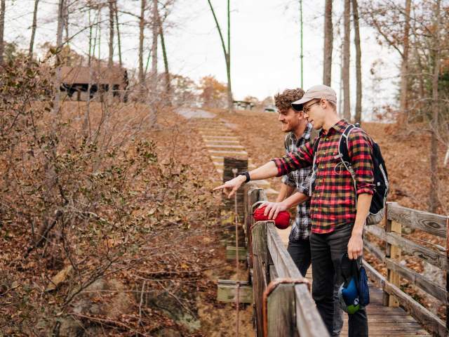 Wayside Park Bridge
