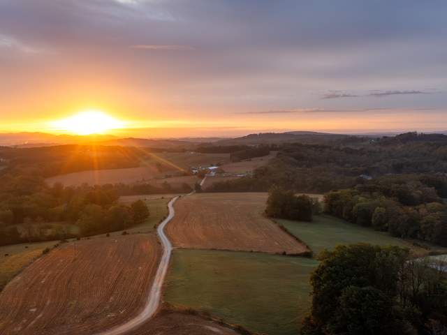 Homeplace Vineyard Aerial