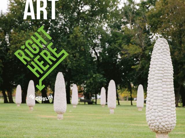 Dublin Art in Public Places Field of Corn Postcard