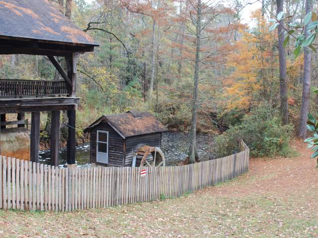 Carvers Creek State Park in Spring Lake