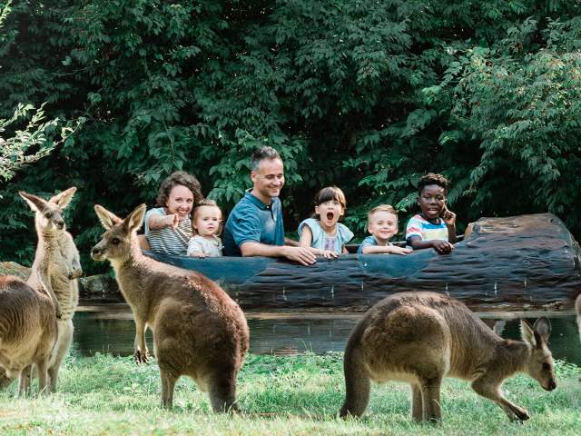 Fort Wayne Children's Zoo Kangaroo and Log Ride Jigsaw Puzzle Photo