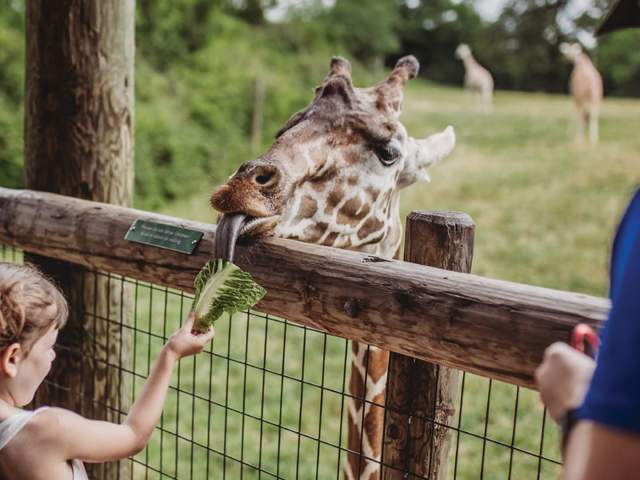 Fort Wayne Adventure Quiz - Family Fanatic