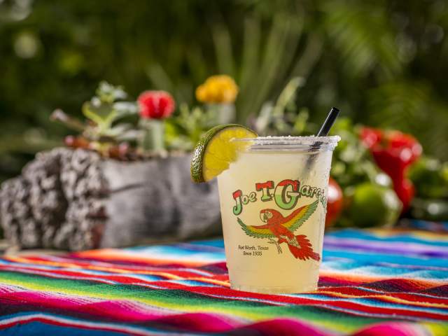 Joe T. Garcia's