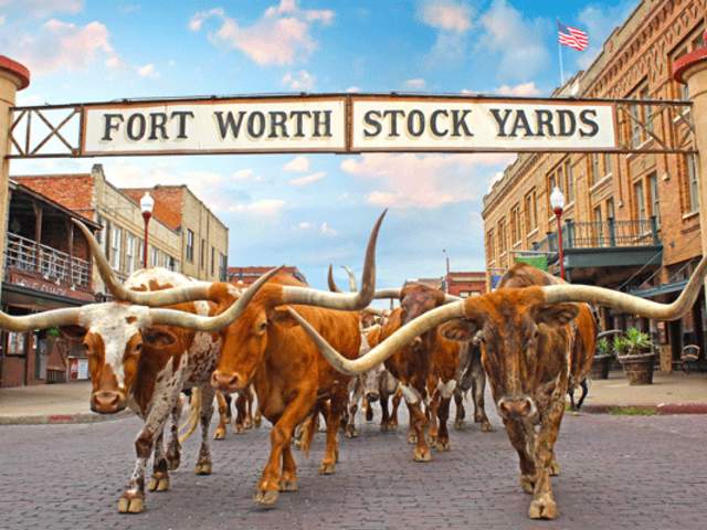 10 Things to Know About the Chisholm Trail