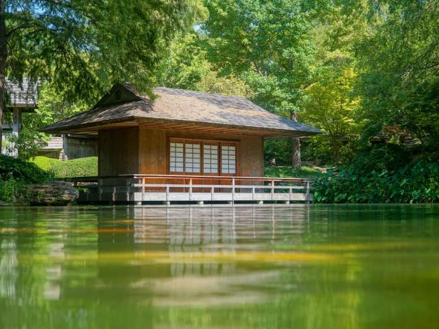 Japan Meets Fort Worth