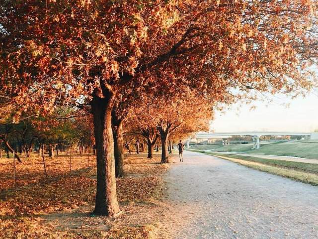Fall Fun in Fort Worth