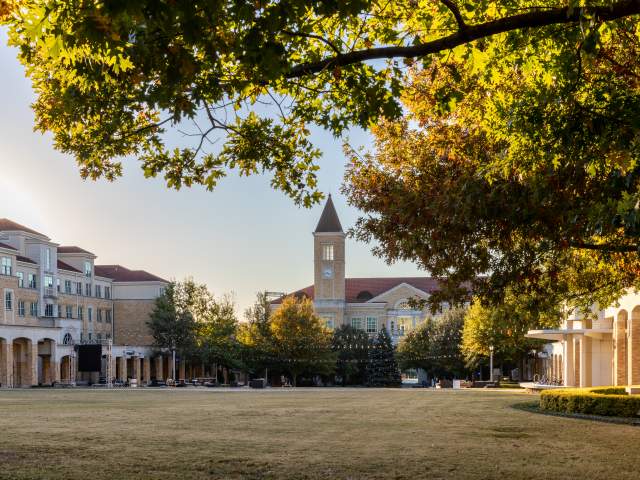 TCU