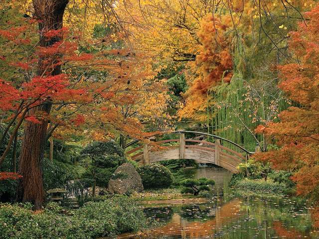 El Jardín Botánico y BRIT
