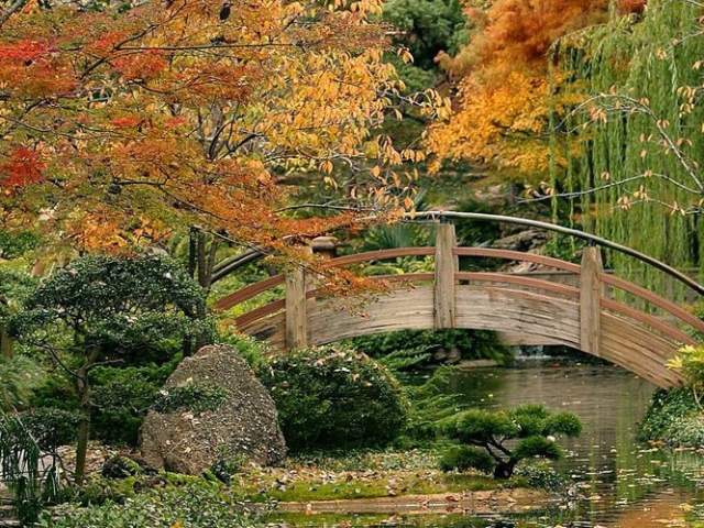 Where to See Fall Foliage in Fort Worth