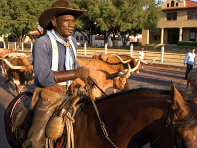 African American Drover