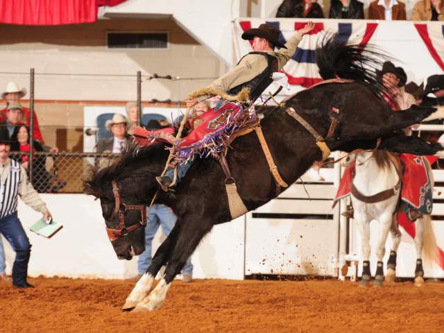 Cowtown Coliseum, rodeo todo el año