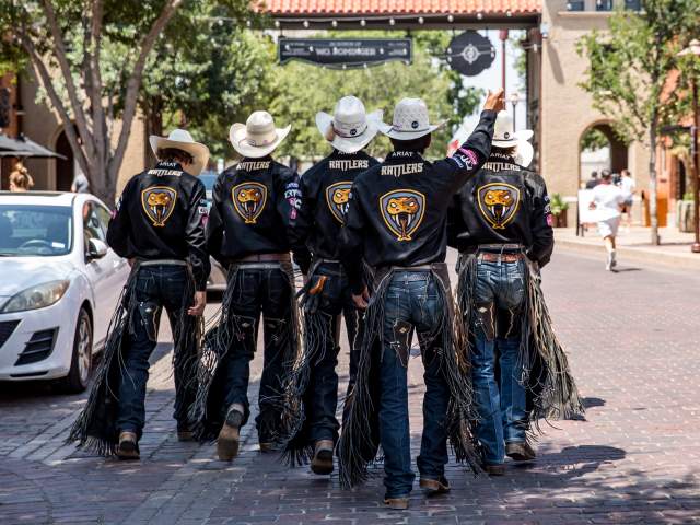 Meet Your Texas Rattlers Team!