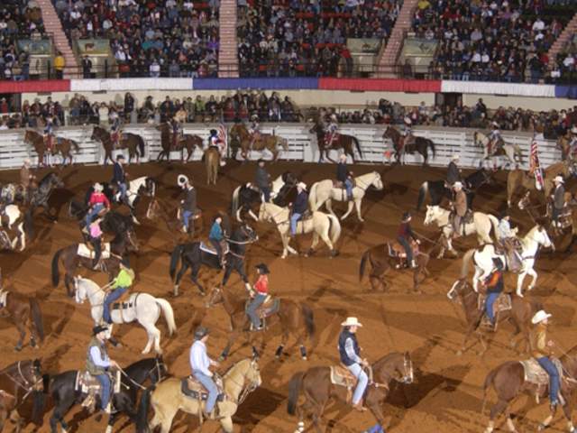 How to Rodeo: Experience the Fort Worth Stock Show & Rodeo
