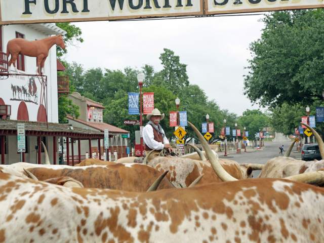 Stockyards sign Longhorns v5