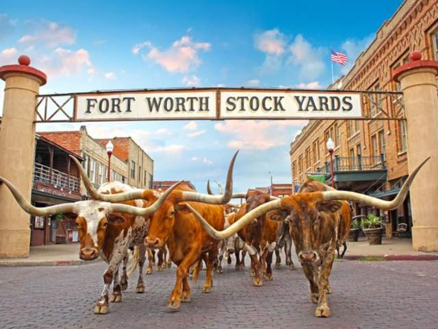 Stockyards
