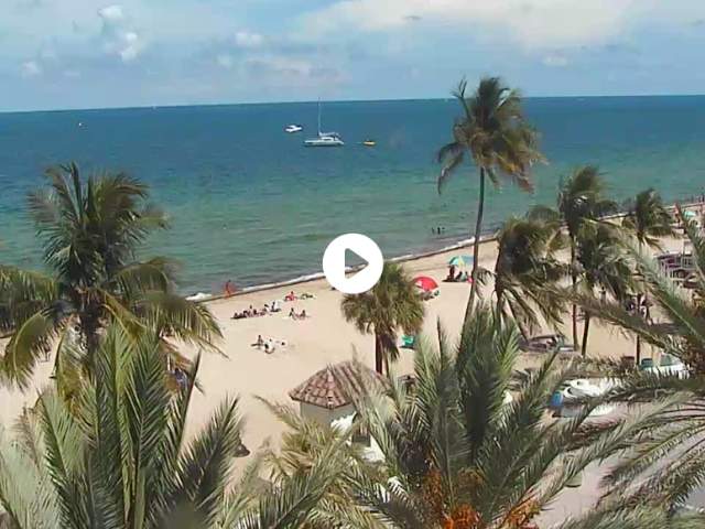 Webcam