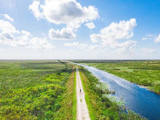 Atlantic Trail Head, Green
