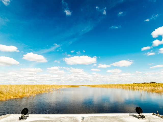 Everglades