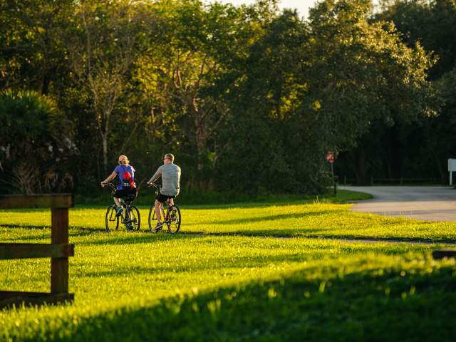 Parkland