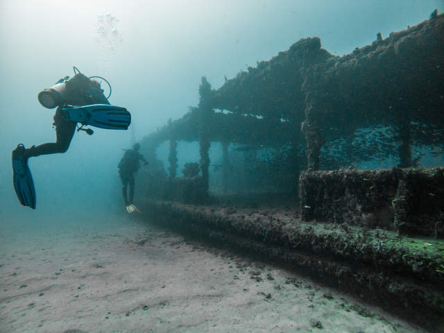 Divers