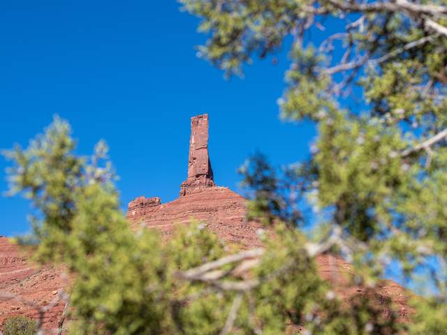 Castleton Tower_through trees