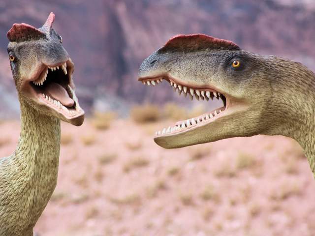 Dino Park