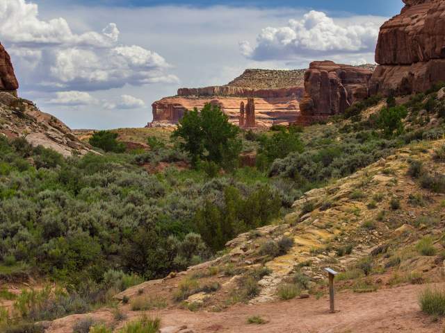 Moab’s Dinosaur Trails