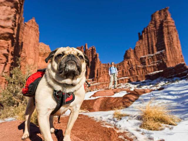Hiking & Biking in Winter