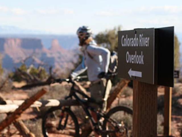 Colorado River Road