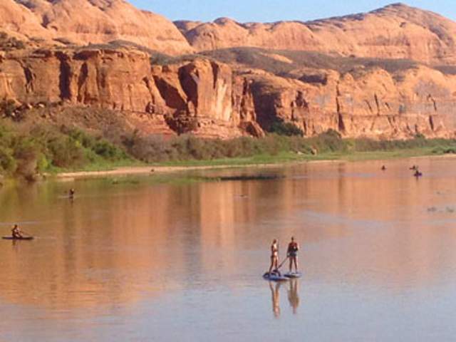 Paddleboard