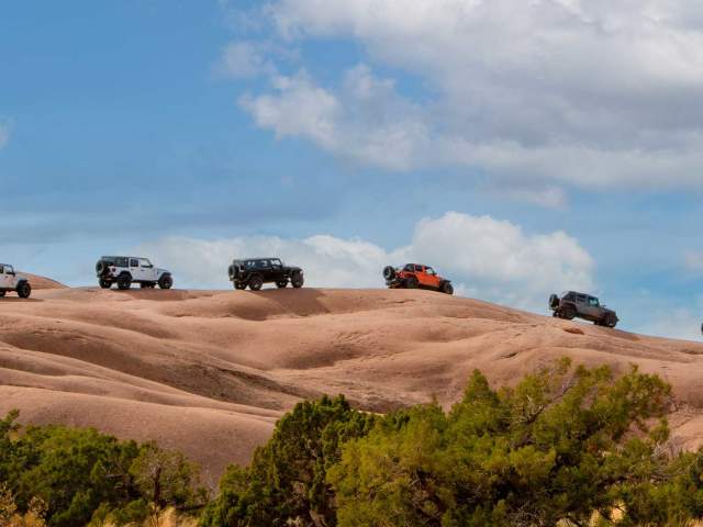 Jeep safari