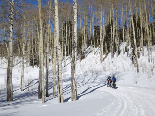 winter biking