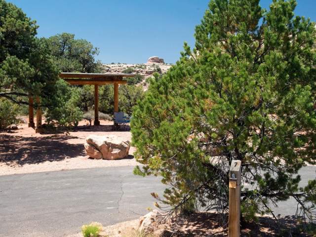 Willow Flat Campground