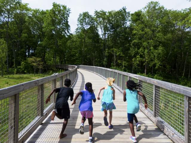 25 Spring Break Ideas for Families in Hamilton County, Indiana