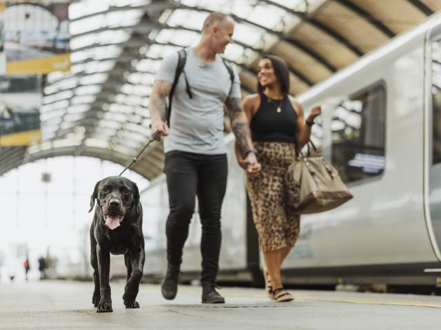 Man and woman walking down a platform in Hull Paragon Station holding hands. The man is wearing a grey t-shirt with black jeans and is walking a happy black labrador. The women is wearing a black vest with a leopard print midi skirt, large brown handbag & sandals. They are walking beside a grey TransPennine Express train. The sun is shining through the curved roof and yellow banners are hanging from the ceiling.