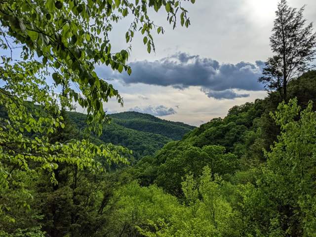 View along the Thousand Steps - Standing Stone Trail