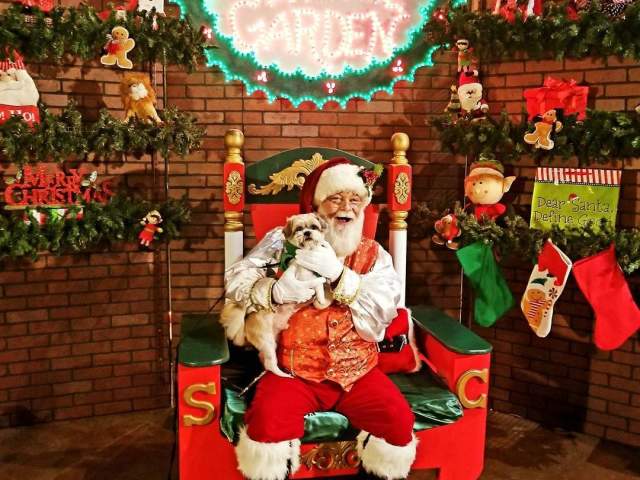 Huntsville Pawliday Guide: Where To Enjoy The Holiday With Your Dog