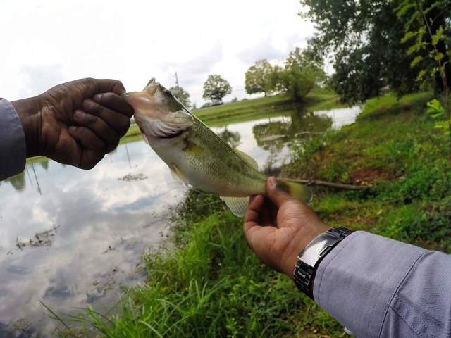 Like Shooting Fish with a Rocket:  The Best Places to Fish in Huntsville