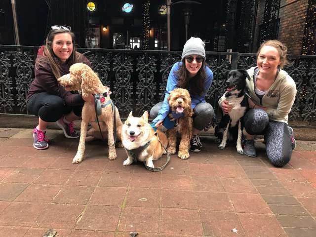 Where to Brunch with your Dog in Huntsville