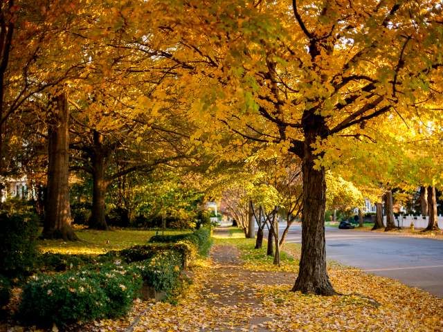 Enjoy the Top Things to Do in the Fall in Huntsville, Alabama