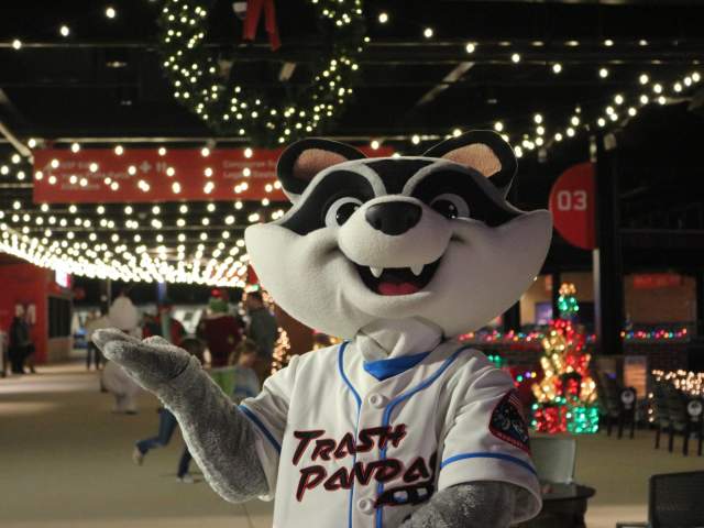 Trash Panda 2020
