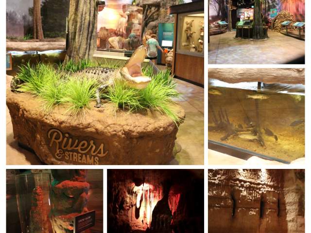 Rivers and Streams in Cook Museum