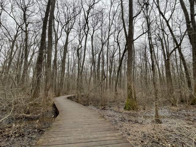 Wheelchair Friendly Hikes: Beaverdam Boardwalk in Huntsville/Madison County